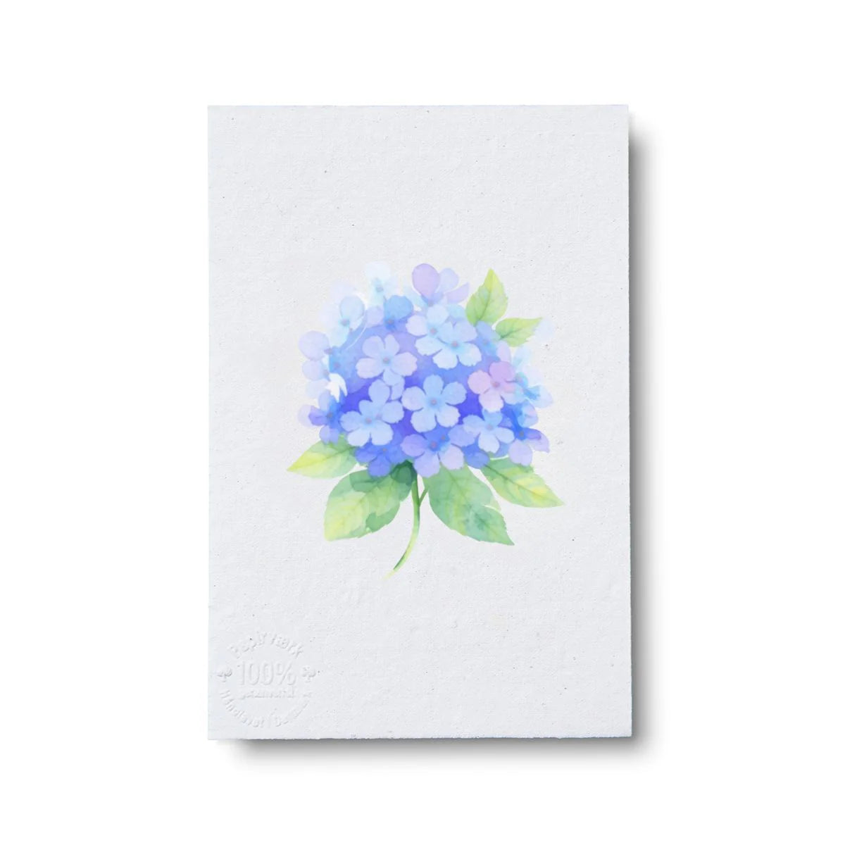 Blå Hortensia, A7 dobbeltside, Papirværk