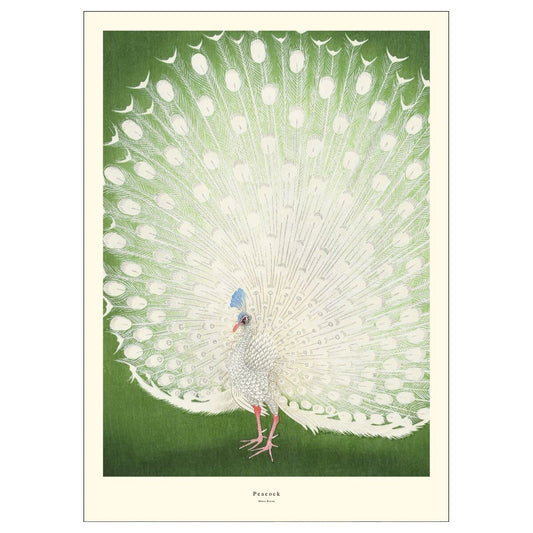Plakat: Peacock