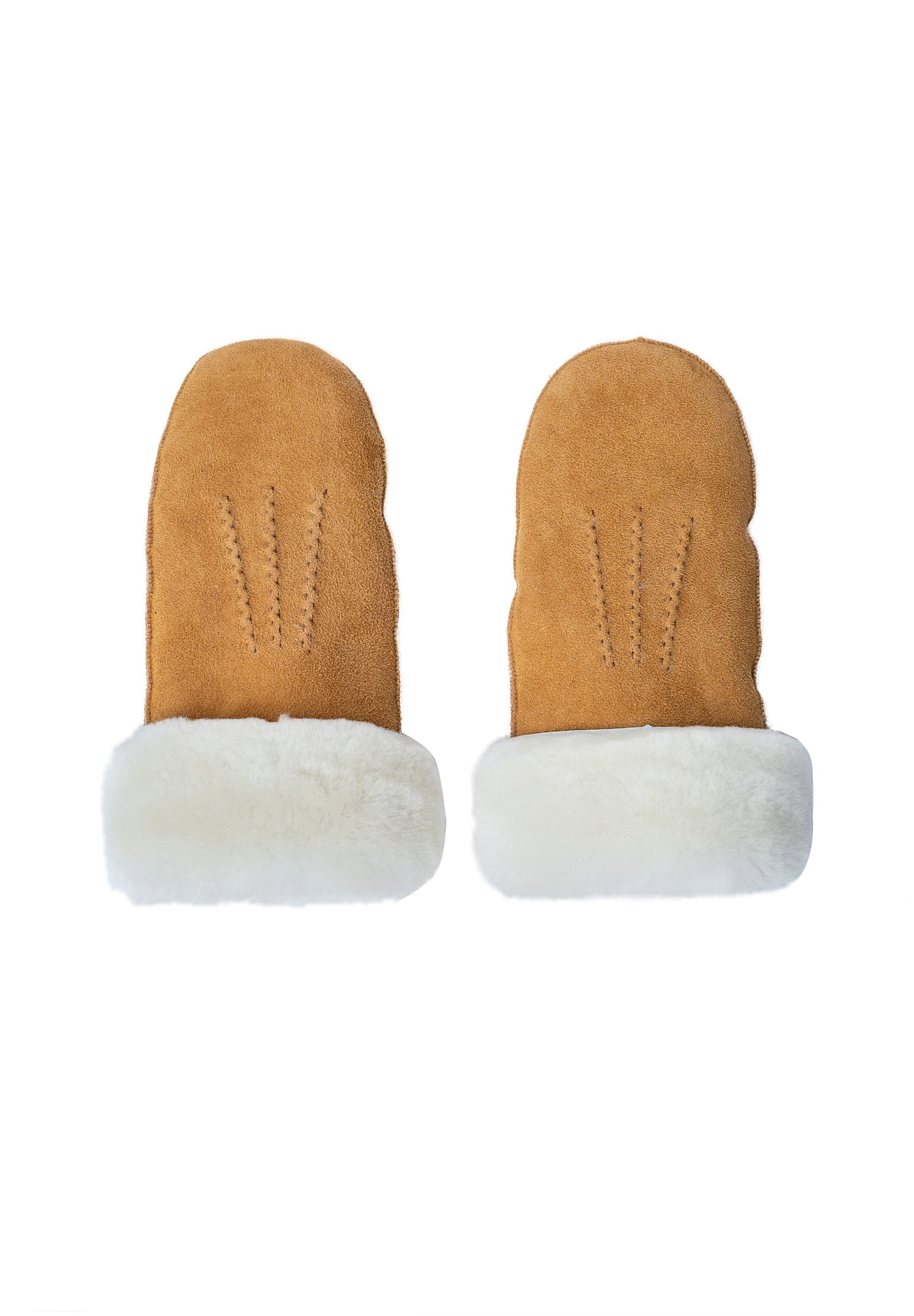 Kasa, Vanter, Camel, Re:designed