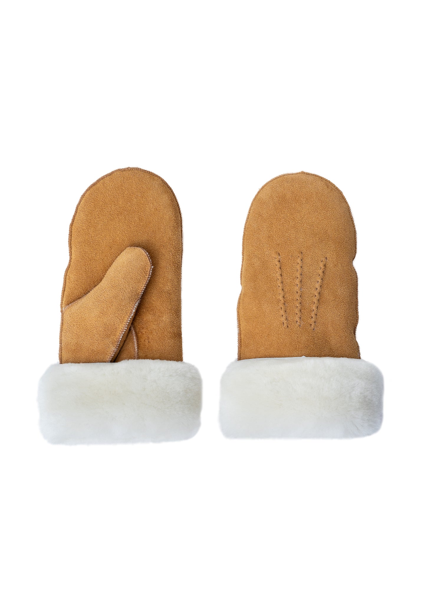 Kasa, Vanter, Camel, Re:designed