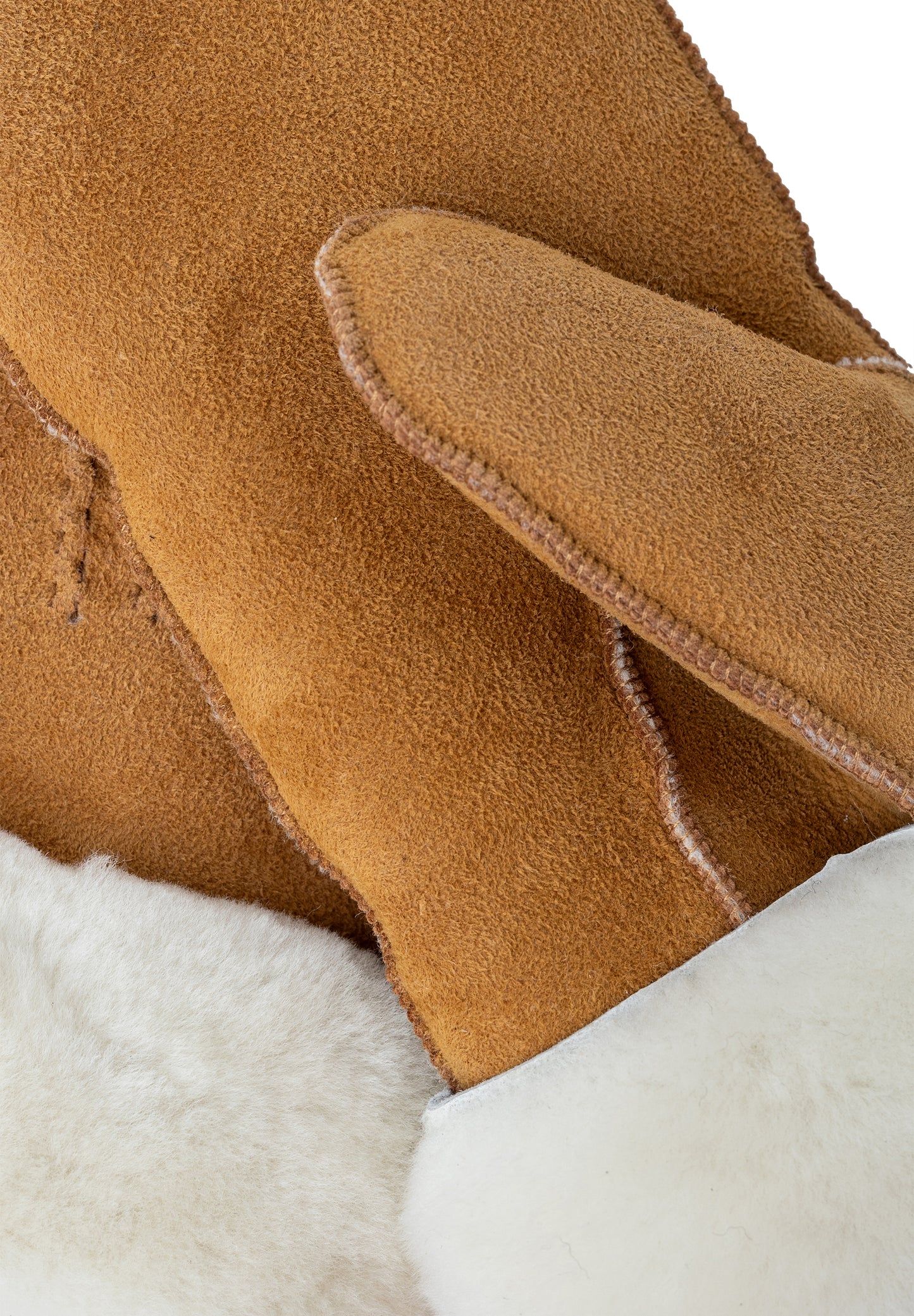 Kasa, Vanter, Camel, Re:designed