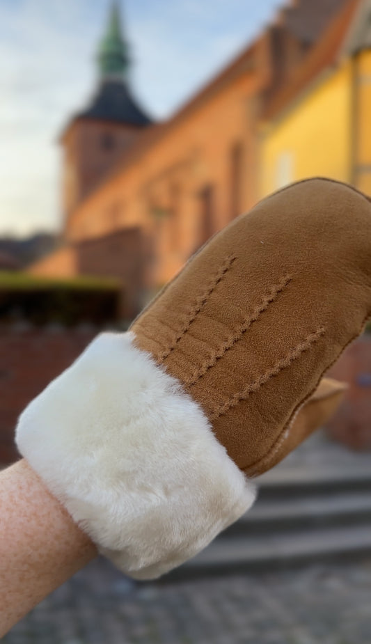 Kasa, Vanter, Camel, Re:designed