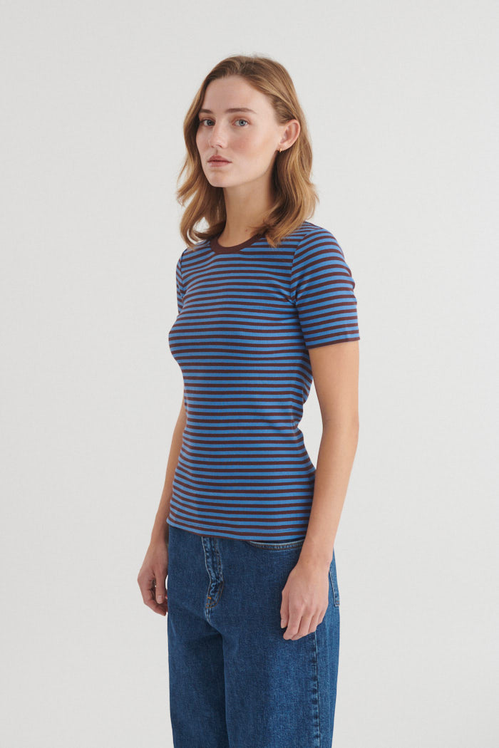 Ludmilla Kortærmet Tee, Riviera/Chicory Coffee, Basic Apparel