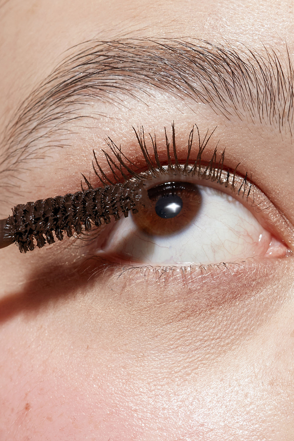 gitti mascara 02 (brown)