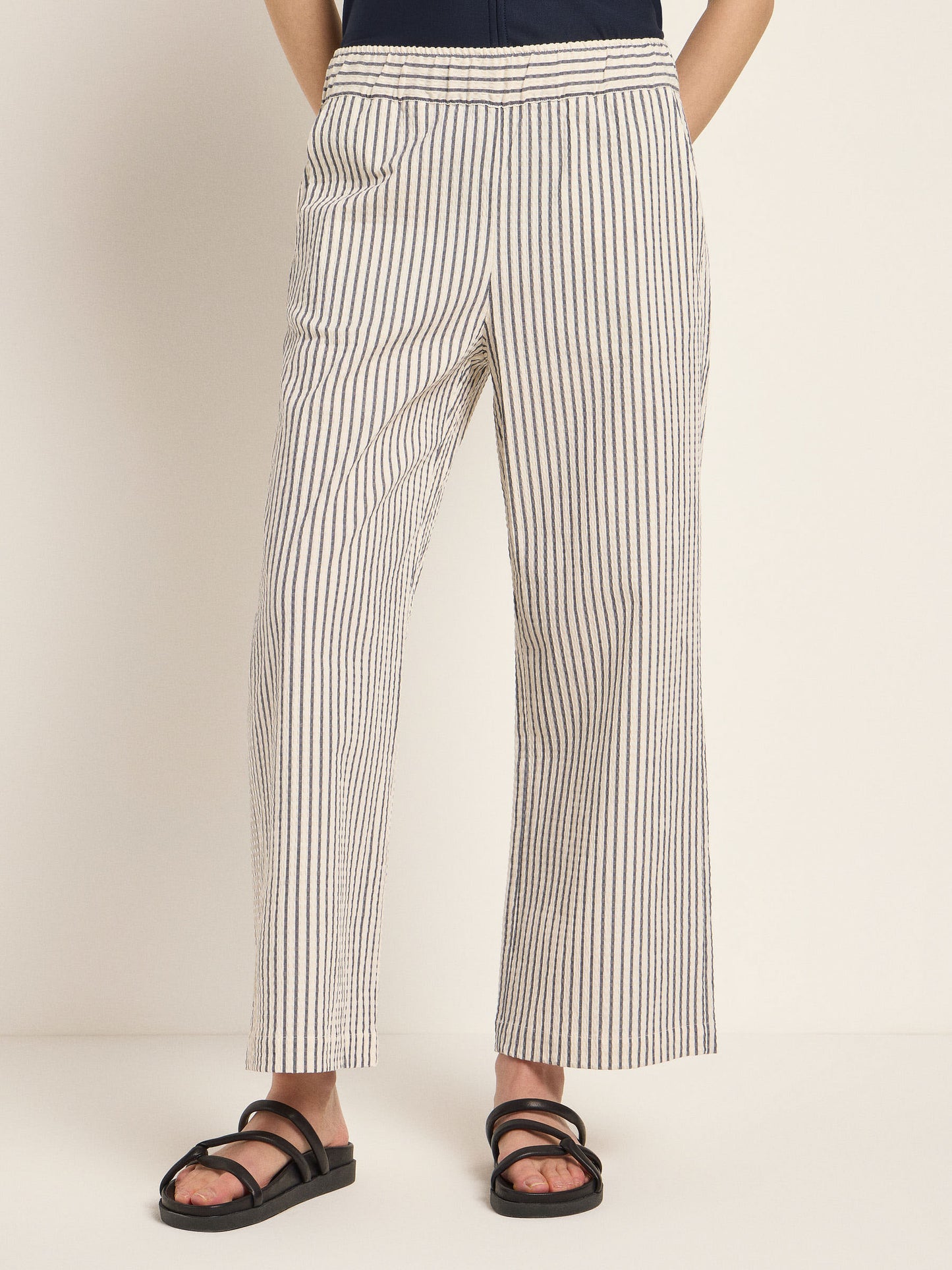 Striped ankle pants (midnight)