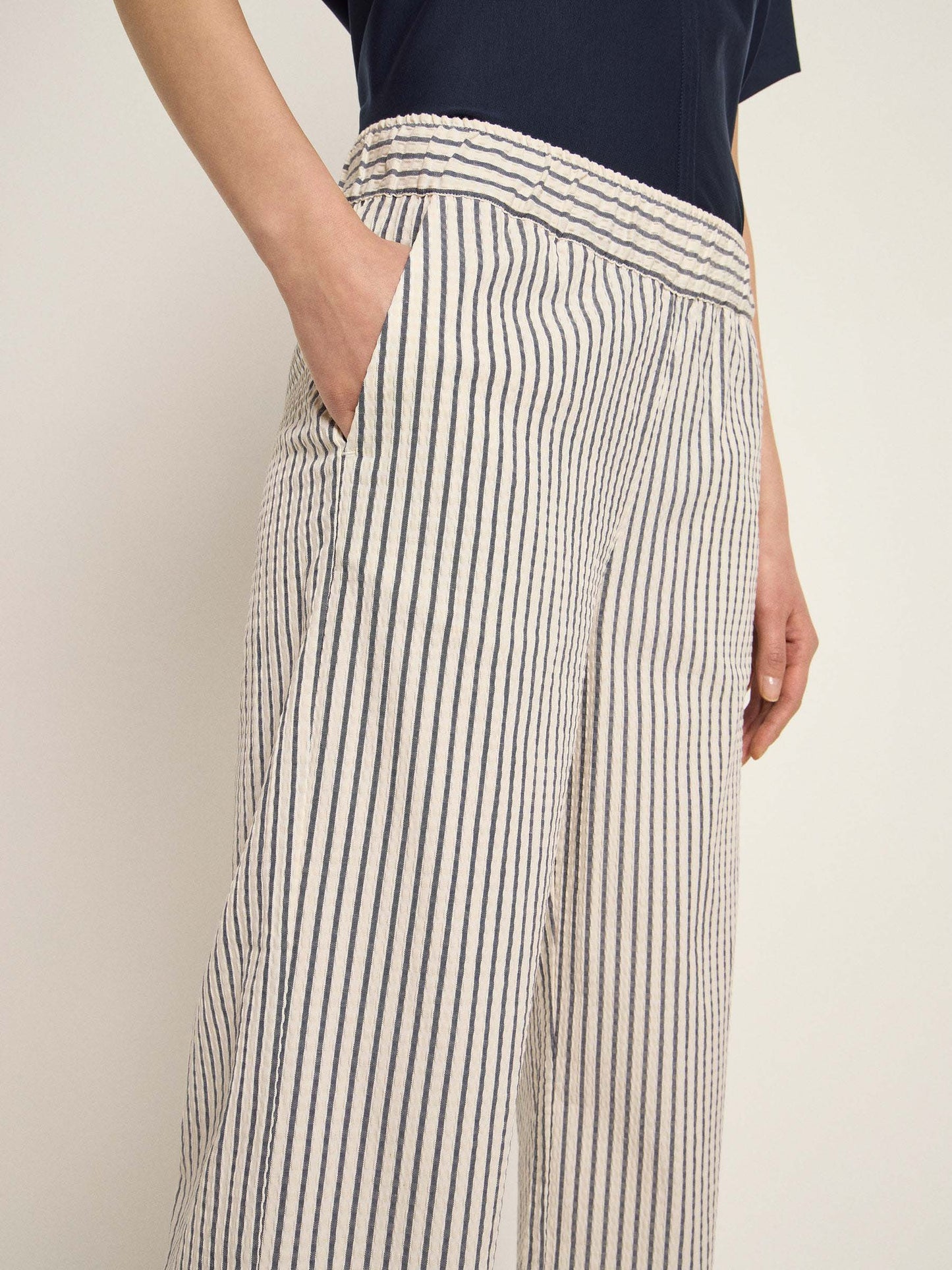 Striped ankle pants (midnight)
