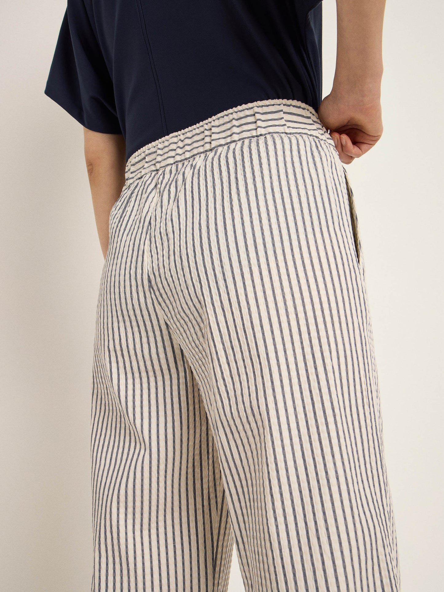 Striped ankle pants (midnight)